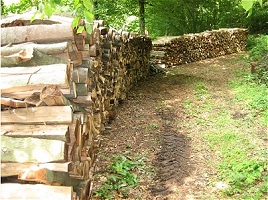 Bürgergarde Gengenbach - Der kleine Mooshof - Brennholz vor der Hütte